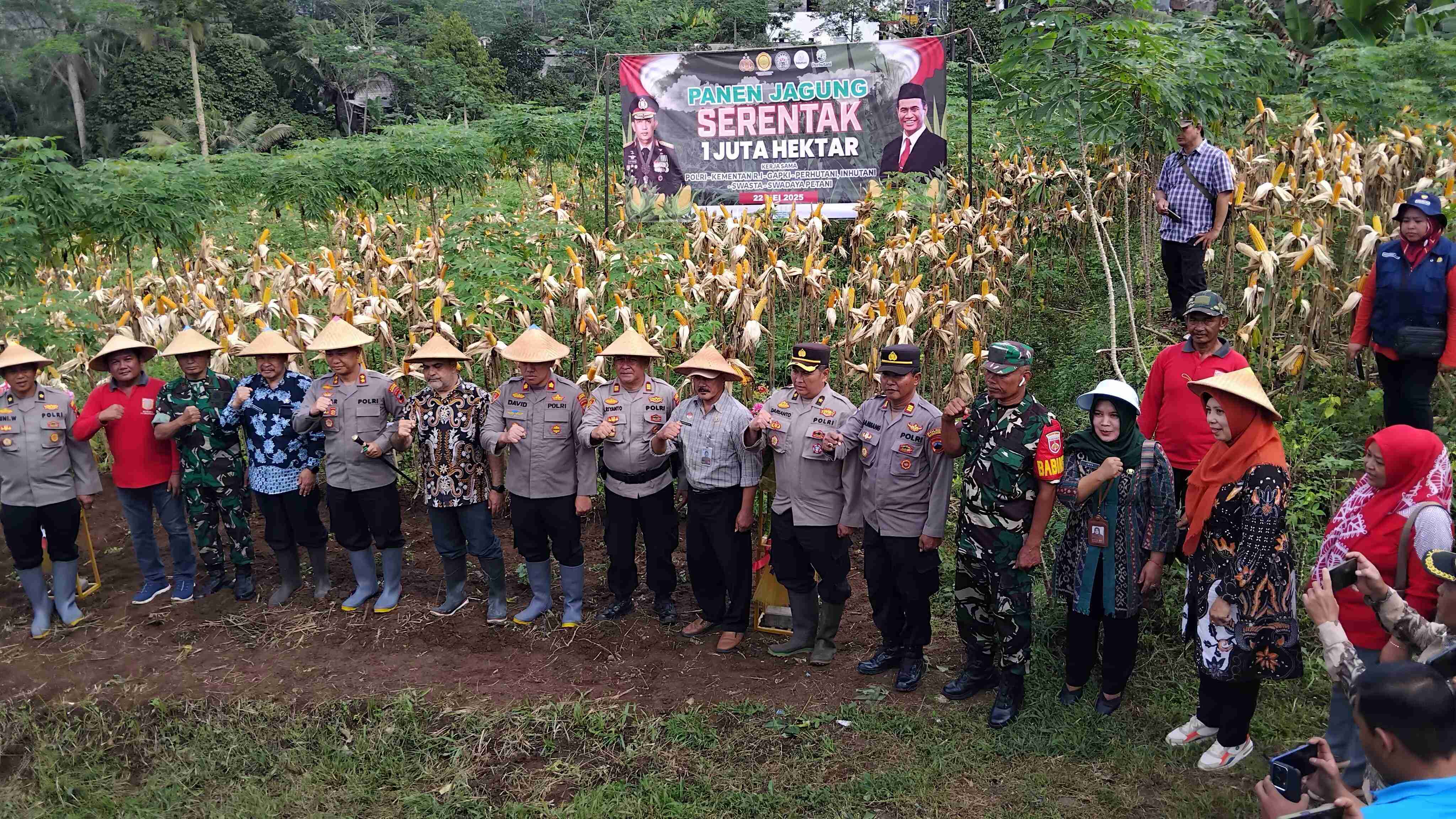 panen-jagung-satu-juta-hektar-tahun-2025